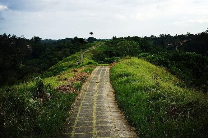 Kintamani Volcano View Tour - Tegenungan Waterfall: your first hit of Bali water and views