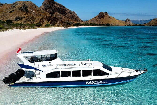 Komodo Islands with Speedboat in Labuhan Bajo - Stop 1: Padar Island Hike for the Big View