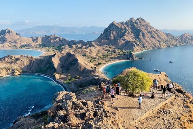 Komodo Islands with Speedboat in Labuhan Bajo - Stop 5: Manta Point Snorkeling for Manta Rays