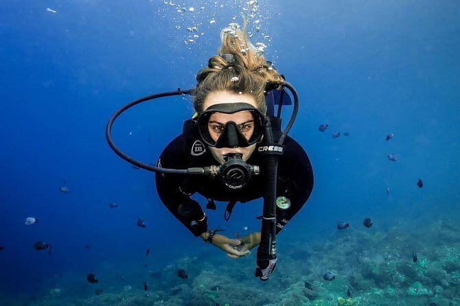 Lembongan Snorkeling at Manta Bay, Crystal Bay and Mangrove - Mangrove Point on Nusa Lembongan: calmer water with marine life