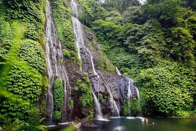 Lovina Sunrise Dolphin & Waterfall Tour - Price and value: is $79 a good deal?