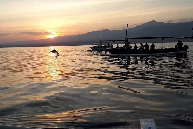 Lovina Sunrise Dolphin with option snorkeling and waterfall - Getting from Ubud: pickup, meeting point, and timing reality