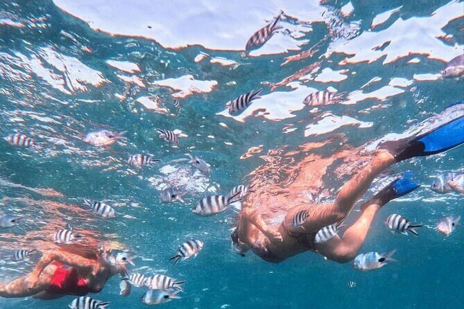 Lovina Sunrise Dolphin with option snorkeling and waterfall - Tibumana Waterfall: slender cascade, narrow-gorge vibe