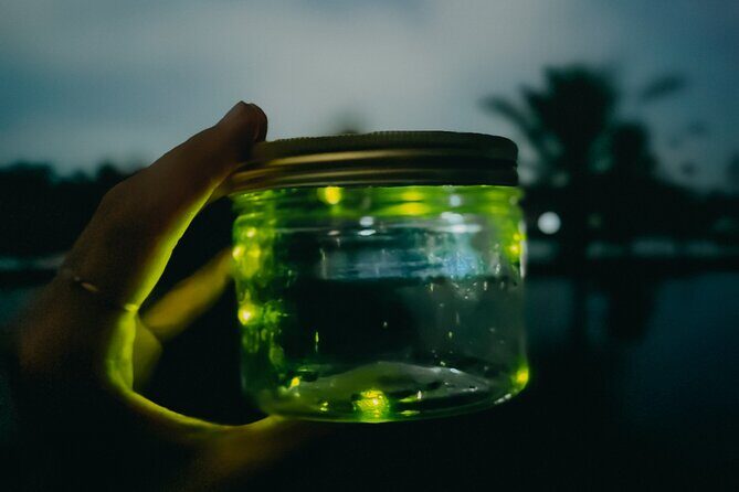 Magical Village Tour & Private Dinner with Fireflies in Bali - Dinner before the lights: what you actually eat