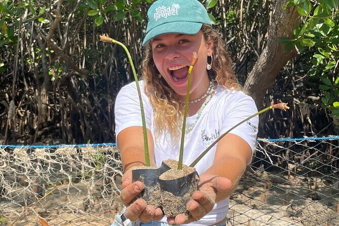 Mangrove Reforestation and Exploration around the Nusa Islands - Mangrove Reforestation on the Nusa Islands: the basic idea