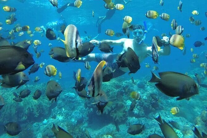 Manta Bay Snorkeling Adventure with Kelingking Beach Nusa Penida All Inclusive - Key things to know before you go