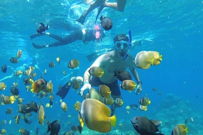 Manta Bay Snorkeling Adventure with Kelingking Beach Nusa Penida All Inclusive - Manta Bay snorkeling safari: what you’re actually paying for
