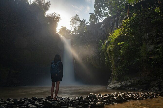 Monkey Forest, Temple, Waterfall and Rice Terrace in Ubud Tour - Ubud town stop for crafts and souvenirs