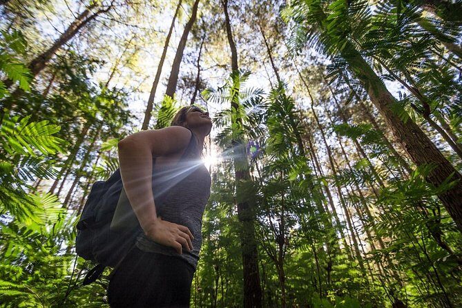 Mount Batur Sunrise Trekking With Breakfas - Optional Luwak coffee stop around Kintamani