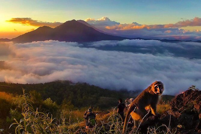 Mount Batur Sunrise Trekking With Breakfas - Price and what you’re really getting for $59.94