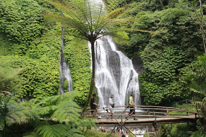 Munduk Private Customized Highlights Tour - Sacred Tree and UNESCO Rice Terraces: Bayan Ancient Tree and Jatiluwih