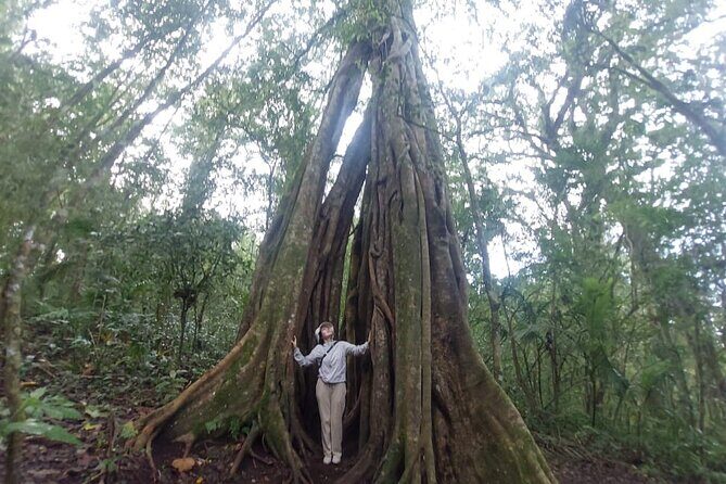 Munduk Twin Lake Jungle Trek with Sacred Forest Temples&Canoeing - Guides, Timing, and the Little Inclusions That Make It Feel Easy