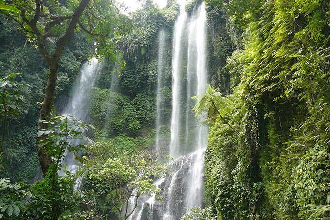 North Bali Tour: Banyumala Waterfall & Wanagiri Hidden Hills - North Bali: the quieter side of the island