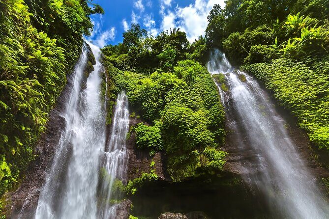 North Bali Tour: Banyumala Waterfall & Wanagiri Hidden Hills - Stop 5: Kayu Putih’s Bayan Ancient Tree (the fairy-tale giant)