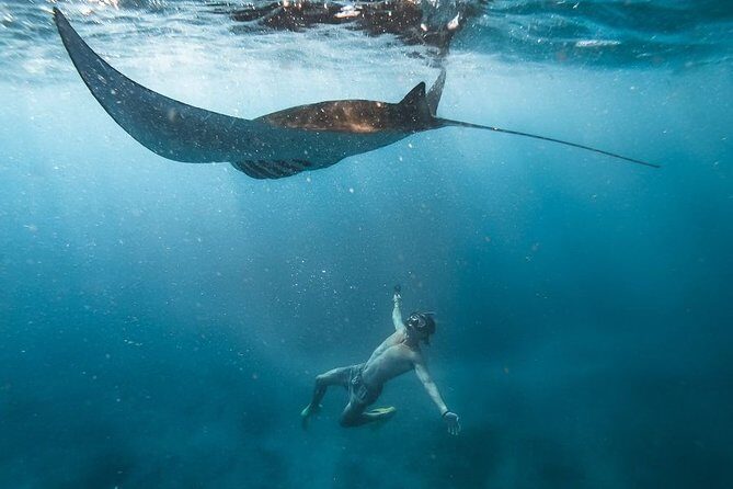 Nusa penida private senorkeling with Manta - Key highlights you’ll feel on the day