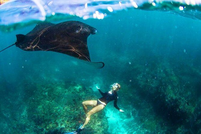 Nusa Penida Snorkeling & Kelingking Tour - Key points to know before you go