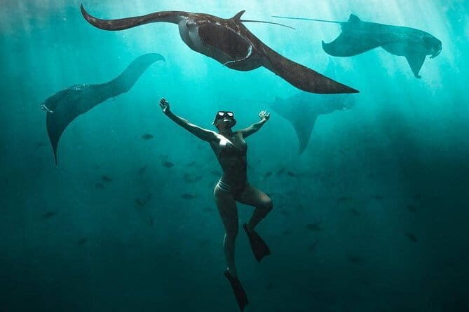 Nusa Penida : Snorkeling Trip Manta Point, Gamat Bay and Wall Bay - Stop 3: Wall Bay, currents, and the GT Point backup