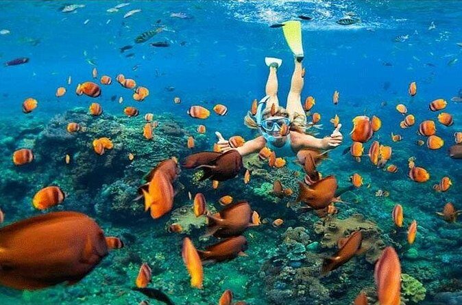 Nusa Penida Trip with Snorkeling all-Inclusive - Who Should Book This Nusa Penida Trip From Ubud