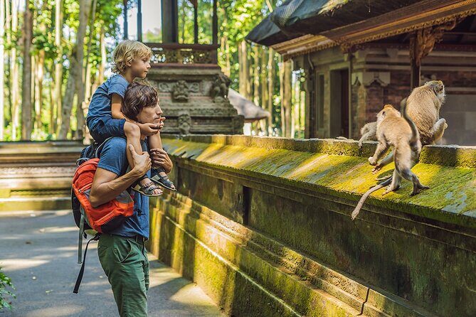 One Day Tour Ubud With Private Guide - Key things I’d highlight before you go
