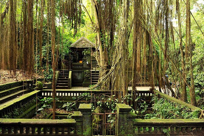 One Day Tour Ubud With Private Guide - Monkey Forest Sanctuary: respectful monkey watching and shaded walking