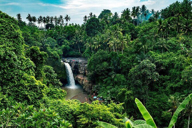 One Day Tour Ubud With Private Guide - Tea, coffee, and a break with forest views: plantation time that doesn’t feel like a detour