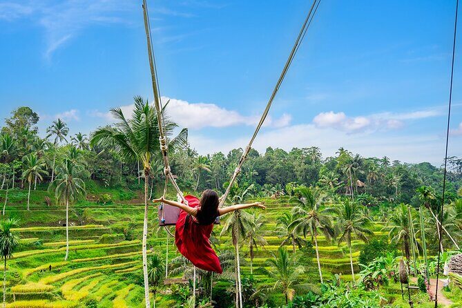 One Day Tour Ubud With Private Guide - Who this tour suits best in Ubud