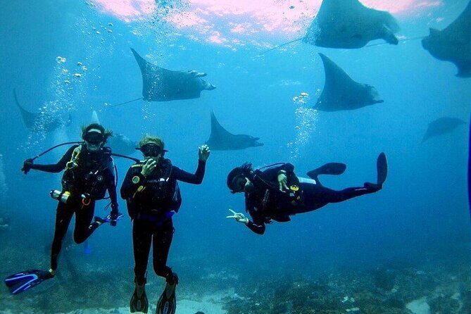PADI Open water Course in Lembongan - Get certified & dive anywhere in the world - Key things to know before you go