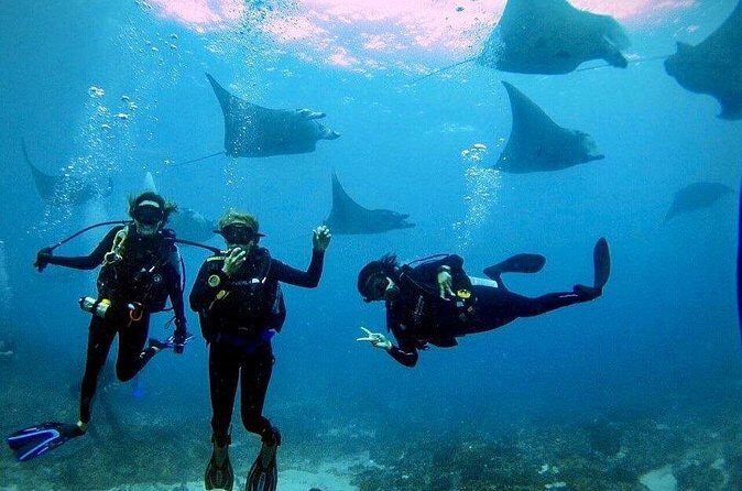 PADI Open water Course in Lembongan - Get certified & dive anywhere in the world - Who this course suits best (and who might pause)