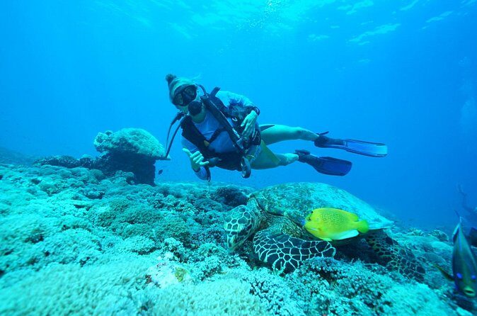 PADI Open water Course in Lembongan - Get certified & dive anywhere in the world - FAQ