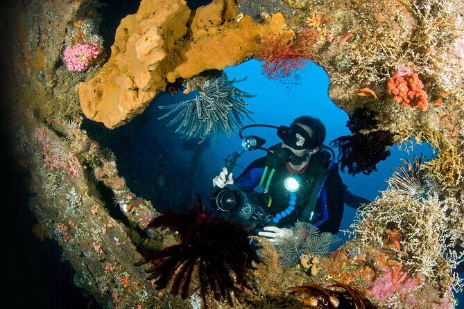 PADI Open water Course in Tulamben - Get certified & dive anywhere in the world - Day-by-day: pool skills first, then structured open-water sessions