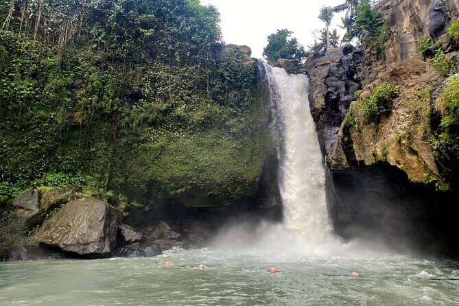Private Bali Custom Tour – Full Day with English-Speaking Driver - A Private Day in Ubud: comfort, control, and an English-speaking driver