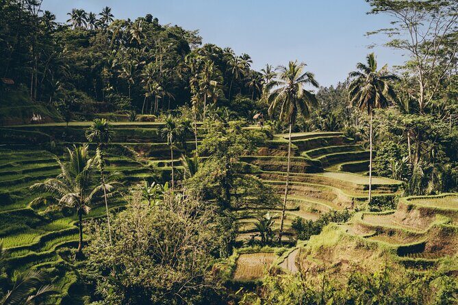 Private Bali Custom Tour – Full Day with English-Speaking Driver - How to fit 2–4 stops into 8–10 hours without feeling rushed