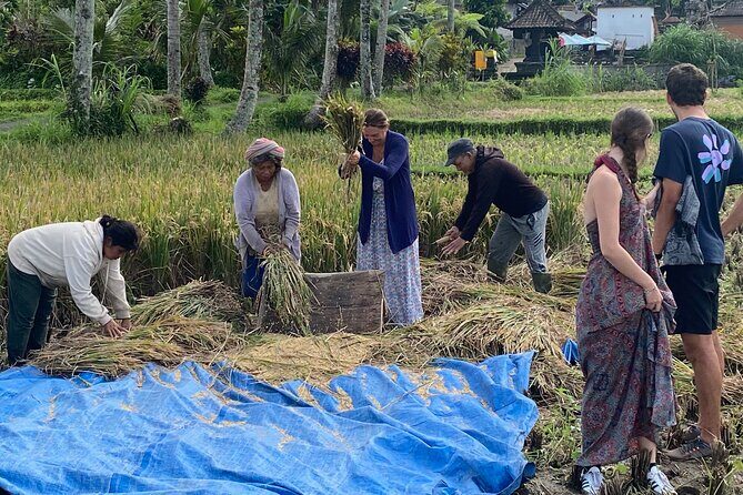 Private Bali Custom Tour – Full Day with English-Speaking Driver - Holy water and spiritual Bali: Tirta Empul, Elephant Cave, and the wider temple options