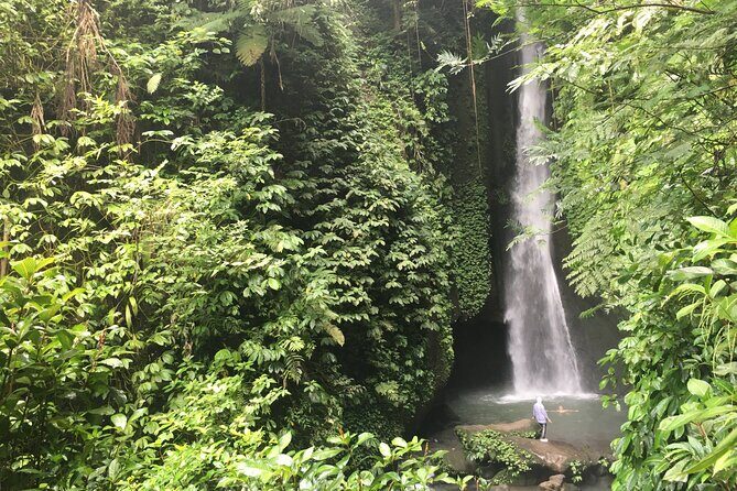 Private Bali Custom Tour – Full Day with English-Speaking Driver - Waterfalls you can actually enjoy: Ulu Petanu, Tibumana, Kanto Lampo, Tegenungan, and more