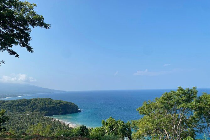 Private Bali Custom Tour – Full Day with English-Speaking Driver - Wildlife and birds: Monkey forests and Bali Bird Park