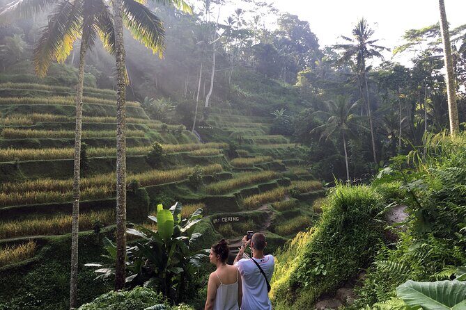 Private Bali Custom Tour – Full Day with English-Speaking Driver - Price and what you should count in your budget