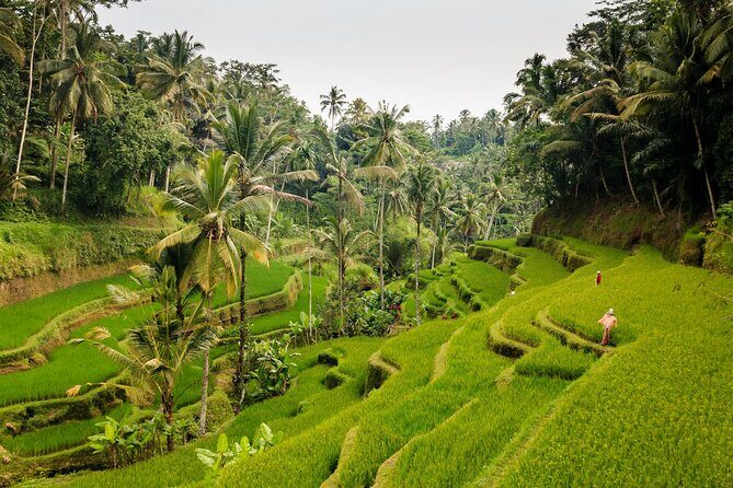 Private Bali Tour: Kintamani Volcano and Besakih Temple - Tegenungan Waterfall: choosing your view and your walk