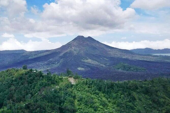 Private Bali Tour: Kintamani Volcano and Besakih Temple - Tegalalang Rice Terrace: the viewpoint stop that’s worth the half hour
