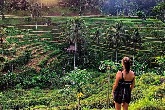 Private Bali Tour: Wonderful Ubud with Swing - Tegalalang Rice Terraces: The 45-Minute Photo Power Block