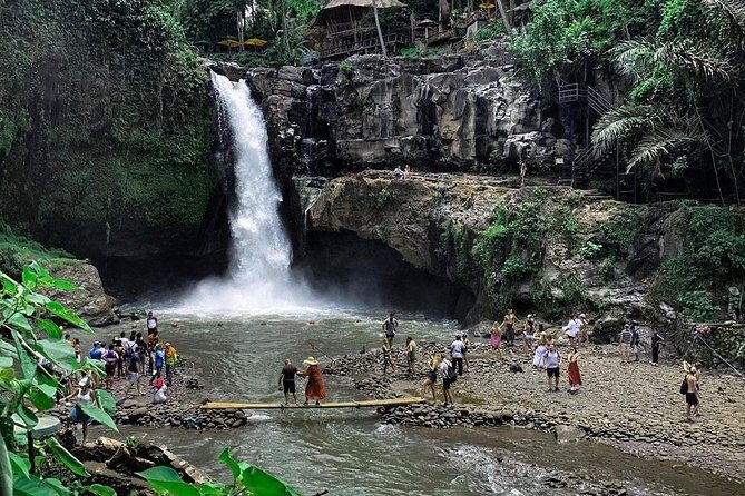 Private Bali Tour: Wonderful Ubud with Swing - Sacred Monkey Forest Sanctuary: 700 Macaques, Temple Complex Included