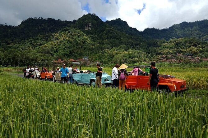 Private Borobudur Village Trip By Volkswagen Safari - Time, Pace, and Who This 1–2 Hour Plan Fits Best