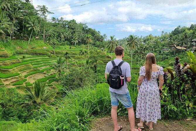 Private Customizable Bali Tour Visit with Transfer Included - Pickup, comfort, and timing: what the 8–10 hour day actually feels like