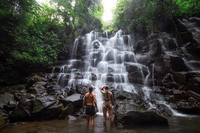 Private Day Tour To Waterfalls And Ubud Sightseeing - Key highlights to know before you go