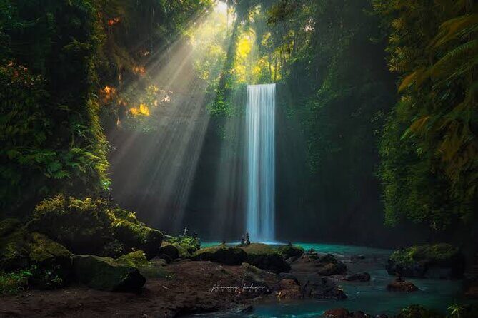 Private Day Tour To Waterfalls And Ubud Sightseeing - A private waterfall-and-Ubud route that actually makes sense