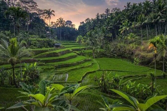 Private Day Tour To Waterfalls And Ubud Sightseeing - Kanto Lampo Waterfall: terraced rocks and easy accessibility