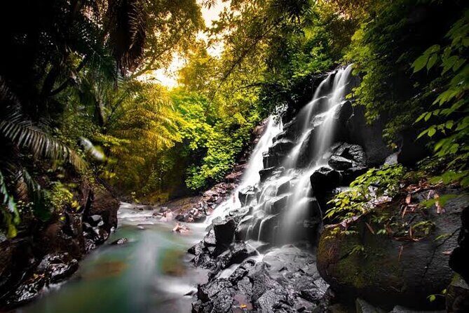 Private Day Tour To Waterfalls And Ubud Sightseeing - Tegalalang Rice Terrace: your best bet for scenic time
