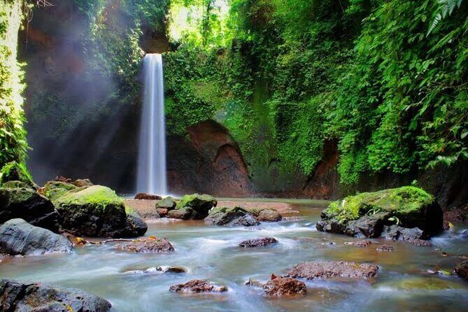 Private Day Tour To Waterfalls And Ubud Sightseeing - Coffee Plantation tasting: a fun ending that feels local