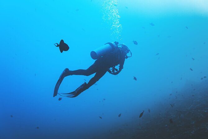 Private Diving Experience in Nusa Dua with Hotel Pick Up - Pickup zone rules you should plan around