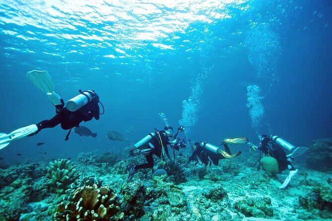 Private Diving Experience in Nusa Dua with Hotel Pick Up - Stop 1: Nusa Dua sites built for first-timers (and comfort)