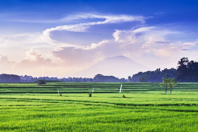 Private Experience: Bali Village Tour - Kintamani Highland: Batur Volcano Views and a Lunch Break That Feels Earned